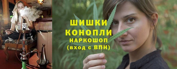 стафф Коряжма