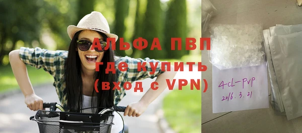 стафф Коряжма
