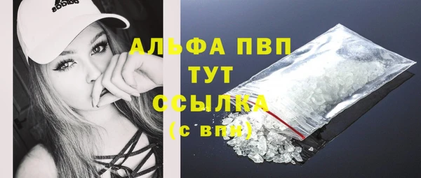 стафф Коряжма