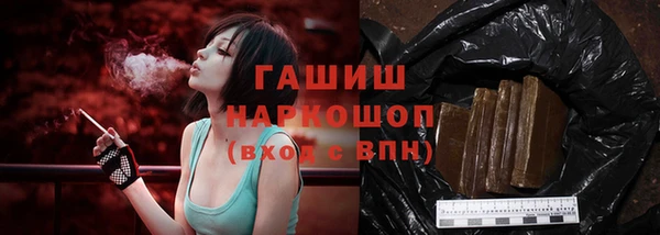 стафф Коряжма