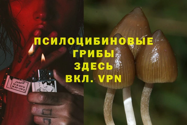 стафф Коряжма