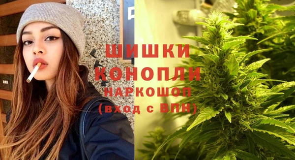 стафф Коряжма