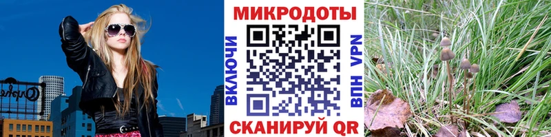Купить где  Онега  Галлюциногенные грибы Magic Shrooms 
